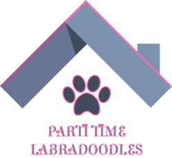 Parti Time Labradoodles